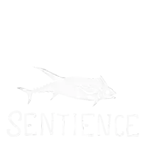 a black and white drawing of a dragonfly with the word sentience written below it