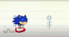Sonic Sonic The Hedgehog GIF - Sonic Sonic The Hedgehog Ok Ko GIFs