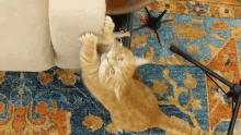 Cat Scratch Fever Cat GIF - Cat Scratch Fever Cat Get It GIFs