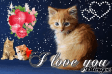 Kitten Iloveyou GIF - Kitten Iloveyou Blingie GIFs