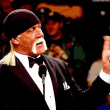 Hulk Hogan Wwe GIF - Hulk Hogan Wwe Hall Of Fame GIFs