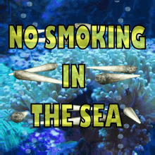 No Smoking Underwater GIF - No Smoking Underwater The Sea GIFs