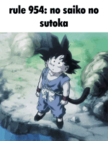 Saiko No Sutoka Goku GIF - Saiko No Sutoka Goku Rule 954 GIFs