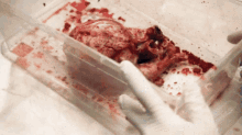 a person is putting a piece of meat in a plastic container .