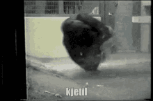 Kjetil Monkey GIF - Kjetil Monkey Monke GIFs