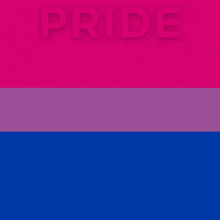 a pink purple and blue flag with the word pride written on it