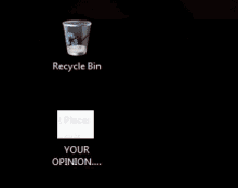 recycle bin opinion