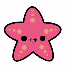 abiera star star fish sea ocean
