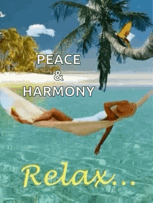 Vacation Relax GIF - Vacation Relax GIFs