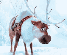 Sven Frozen GIF - Sven Frozen Snow GIFs