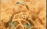 a close up of a painting of a swirl of spaghetti noodles .