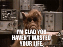 Alf Im Glad You Havent Wasted Your Life GIF - Alf Im Glad You Havent Wasted Your Life GIFs
