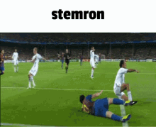 Stemron Stemron23 GIF