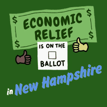 New Hampshire Election Election GIF