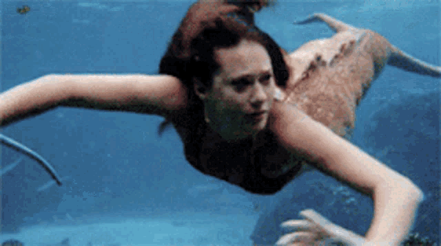 mako mermaids swimming