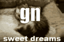 Gn Good Night GIF - Gn Good Night GIFs