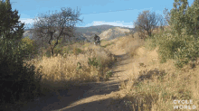 Offroad Cycle World GIF - Offroad Cycle World Africa Twin Dct GIFs