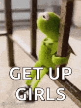 kermit the frog is sitting on a railing holding onto a railing and says `` get up girls '' .