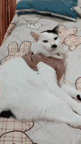 a white cat is laying on a bed with a brown shirt on
