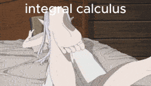 Frieren Calculus GIF - Frieren Calculus Integral GIFs