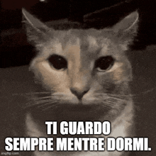 a cat with the words ti guardo sempre mentre dormi written on it