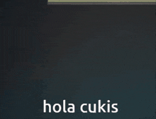 a cartoon drawing of a cat with the words hola cukis written below it