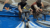 two squirrels are riding skis in a pool with progressive written on them