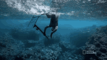 Diving Gordon Ramsay GIF