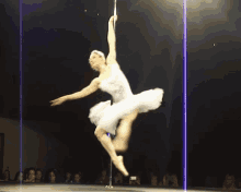 pole dance ballet modern art dancing spin