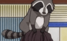 a raccoon is sitting on top of a person 's shoulder .