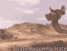 Haters Gonna GIF