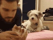 What Dogs GIF - What Dogs Dog GIFs