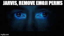 jarvis remove emoji perms is displayed on a blue background