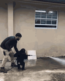 GIF