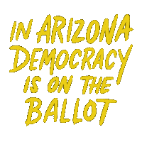 Arizona Election Heysp Sticker - Arizona Election Heysp Az Stickers