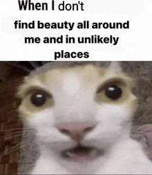 Find Beauty GIF - Find Beauty Around GIFs