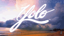 Yolo Yololightning GIF - Yolo Yololightning Yolorum GIFs
