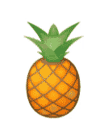 pineapple cut in half fruit sweet tropical fruit