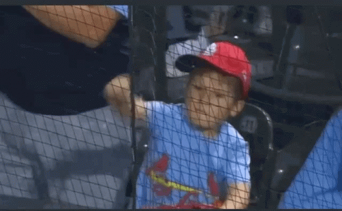 St Louis Cardinals Funny GIFs
