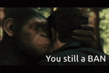 a man and a monkey are looking at each other with the words you still a ban behind them