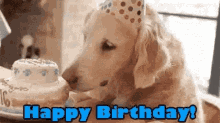 Cute Happy Birthday GIF - Cute Happy Birthday Dog GIFs