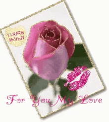 my love for you rose