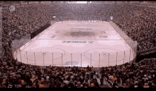 Penguin Pittsburgh GIF - Penguin Pittsburgh Crowd GIFs