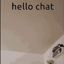 Hello Chat Blahaj GIF