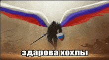 a man with a sword and a shield has russian wings on his arms