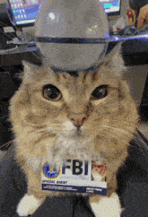 a cat is wearing a fbi badge and has a ball on its head