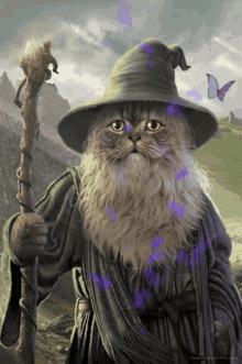 Wizard Cat Magus Cat GIF - Wizard Cat Magus Cat Witch Cat GIFs