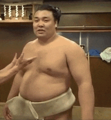 Sumo Sumo Wrestler GIF