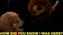 Sml Logan Thirtyacre GIF - Sml Logan Thirtyacre How Did You Know I Was Here GIFs