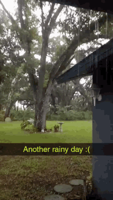 Raining Rainy Day GIF - Raining Rainy Day Sad GIFs